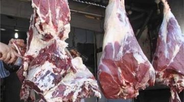 “البلدي بـ 225 جنيه”.. شعبة الجزارين تكشف عن أسعار اللحوم الحمراء اليوم الإثنين 29 مايو 2023
