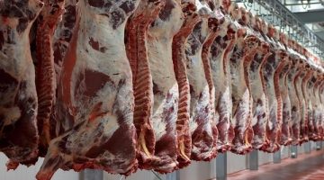 “قبل عيد الأضحى”.. هبوط أسعار اللحوم الحمراء اليوم الأربعاء 31 مايو 2023 ومحلات الجزارة توضح التفاصيل!!