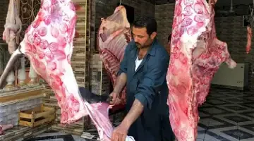 “بسعر 195 جنيه للطازة”.. شاهد أسعار اللحوم اليوم الأحد 28 مايو في السوق ومحلات الجزارة