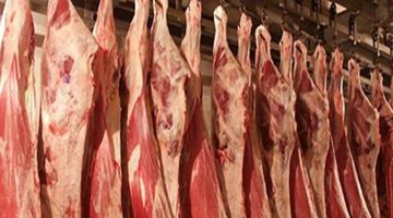 “السوداني بـ 195”.. مفاجأة غير متوقعة في أسعار اللحوم اليوم الأربعاء 7 يونيو في السوق