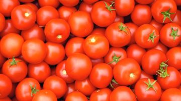 اوعي تاخدها حته لو ببلاش.. وزارة الصحة تناشد المواطنين بعدم شراء هذا النوع من الطماطم من السوق به سم قاتل