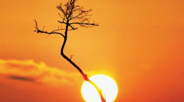 احذروا أشعة الشمس … الأرصاد الجوية تكشف حالة الطقس حتى نهاية الأسبوع الجاري