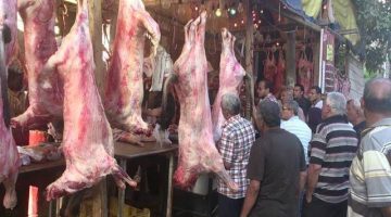 اللحمه برخص التراب.. اسعار اللحوم اليوم السبت 17 يونيو 2023بجميع محلات الجزارة بمصر