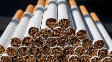 جشع تجار.. شعبة الدخان توضح حقيقة ارتفاع أسعار السجائر في السوق