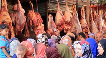 «الكل هيشتري لحمة!!».. أسعار اللحوم الحمراء البلدي اليوم الاربعاء 12-7-2023