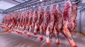 «استقرار أسعار اللحوم».. أسعار اللحوم اليوم الأربعاء 19 يوليو 2023 في السلاسل التجارية ومحال الجزارة.. اعرف الكيلو بكام!!