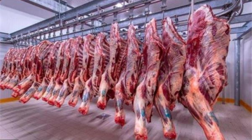 «محدش هيشتري لحمة تاني!».. أسعار اللحوم الحمراء البلدي اليوم الثلاثاء 11-7-2023