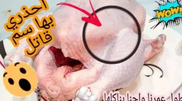4 أجزاء من ” الدجاج ” لا تأكلها حتى لو هتموت من الجوع .. بداخلها سم قاتل