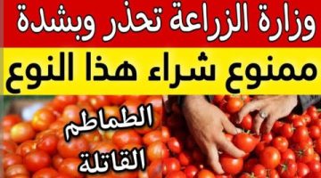 “خراب بيوت مستعجل”.. وزارة الصحة تحذر من شراء هذا النوع من الطماطم من السوق! يسبب الوفاة