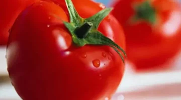 «متشتريش الطماطم دي ابدا»…. نوع من الطماطم يؤدي الى الوفاة وتحذر منه وزارة الصحة بشكل كبير