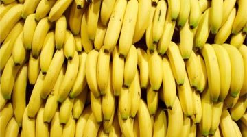 “عشان مترجعش تقول معرفش”.. عالم يكشف عن مفاجأة خطيرة بشأن أكل الموز.. طلع بيدمر الصحة