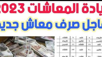 “مليون مبروك”.. رسمياً صرف المعاشات بالزيادة الجديدة بأثر رجعي تصل إلى 20%.. تعرف على موعد الصرف