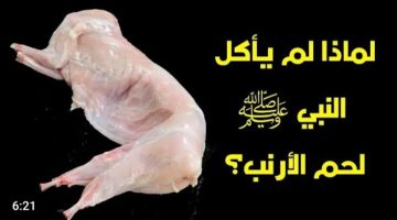 “صدمه كبيرة”.. لماذا نبينا محمد لا يأكل لحم الأرنب ؟؟ وأيضًا لا يأكل لحم الضب ؟؟