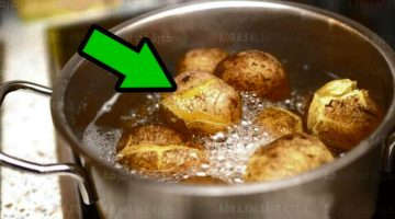 تسببت في وفاة أسرة .. توقفي عن طبخ هذه النوعية من ” البطاطس ” المنتشرة في السوق المحلي .. هلاك للصحة !!