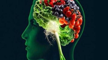معلومة هتغير مجري حياتك .. هذا الطعام يقوي الذاكرة ويغذي المخ ويحسن بنية الدماغ