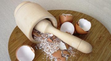 فوائد خيالية لقشور البيض.. استخدم قشور البيض بهذه الطريقة و استمتع بفواىد عمرك ماتتخيلها..!! 