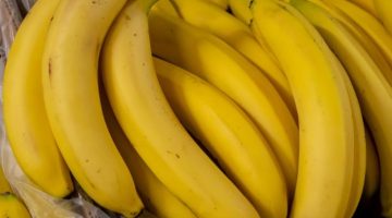 هتطلعية كأنه لسه طازة.. أفضل طريقة لحفظ وتخزين الموز من السنة للسنة بدون ما يسود منك أو يبوظ