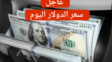 هتفك بكام؟.. سعر الدولار اليوم 27-2-2024 أمام الجنيه المصري في البنك المركزي المصري!!
