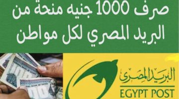«متصدقش أي حاجة»…حقيقة منحة البريد المصري ال 1000 جنيه لجميع المواطنين!!!؟