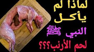 “رابع المستحيلات تكون عارف السبب”..لماذا كان النبي محمد لا يأكل لحم الارنب نهائيا.. السبب غير متوقع!!