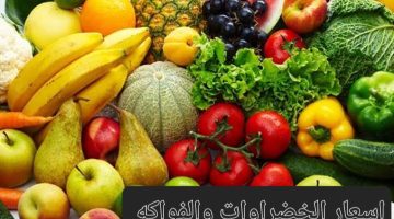 “تراجع ملحوظ” أسعار الخضراوات والفواكه اليوم الثلاثاء بالأسواق المصرية