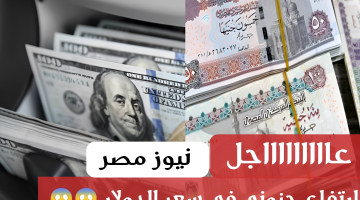 «رفع ولا لسه»؟… سعر الدولار مقابل الجنيه اليوم الأربعاء 6 مارس 2024 في البنوك الرسمية!!