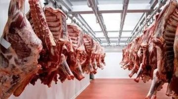 تراجع 20% في أسعار اللحوم البلدي والكاندوز والضاني.. بشرى سارة قبل شهر رمضان