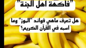 من فاكهة أهل الجنة.. 10 فوائد عند تناول الموز على الفطار وهذا اسم الموز في القرءان الكريم
