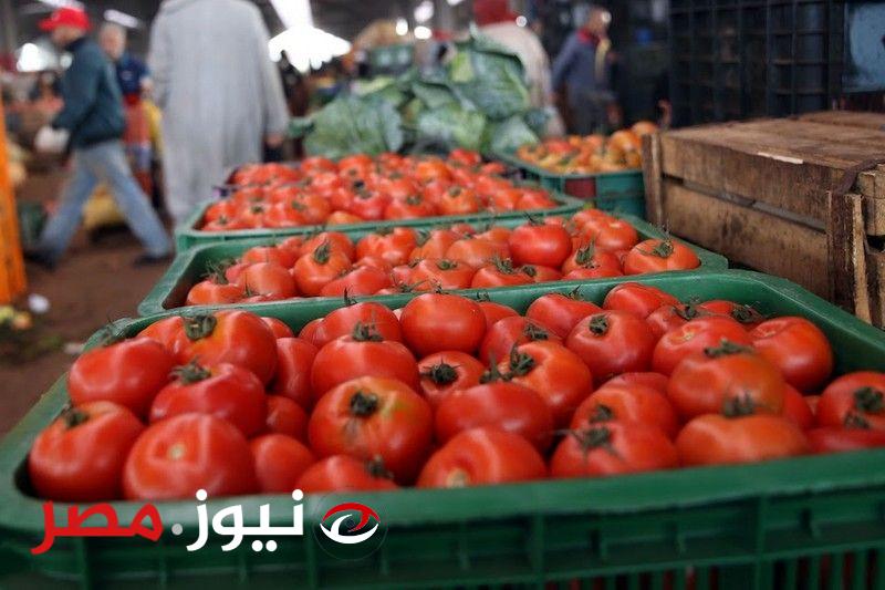 «خلي بالك فيها سم قاتل».. تحذيرات خطيرة من وزارة الصحة من تناول هذا النوع من "الطماطم السامة" المنتشرة في الأسواق!!