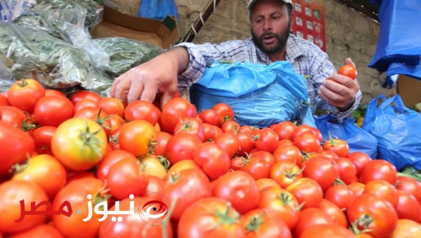لماذا حذرت وزارة الصحة من هذا النوع من الطماطم؟