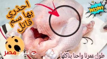 «أوعى تاكلها تاني»…5 أجزاء في الدجاج يحذر من تناولها تسبب العديد من الأمراض الخطيرة!!؟
