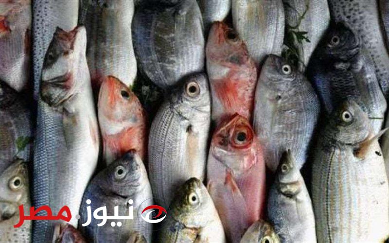 11 محافظة تنضم لحملة مقاطعة الأسماك “خليه يعفن”