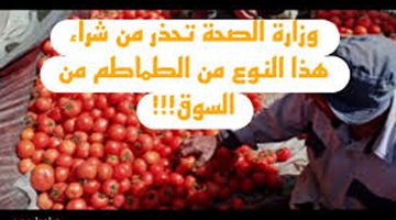 الطماطم فيها سم قاتل!.. وزارة الصحة تحذر من شراء هذا النوع من الطماطم؟!! هتموتي عيالك بايدك