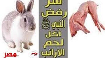 ستتفاجأ من الإجابة!.. هل تعلم لماذا امتنع النبي محمد صلى الله عليه وسلم عن تناول لحم الأرانب رغم أنها حلال؟!!