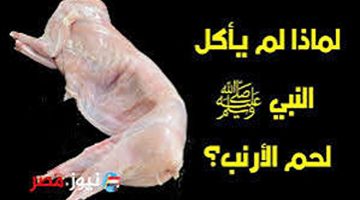 «حقيقة لا يعرفها الكثيرون» لماذا نبينا محمد عليه الصلاة والسلام لا يأكل لحم الأرنب ؟؟ وأيضا لا يأكل لحم الضب ؟؟