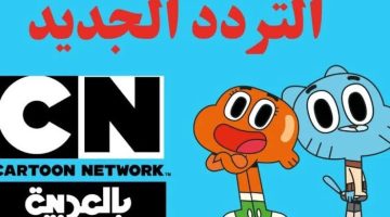 اضبط أحدث تردد قناة نتورك بالعربية لمتابعة مسلسلات وأفلام الأطفال (أحدث تردد وخطوات التنزيل)