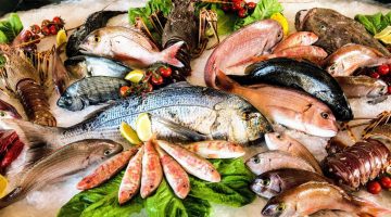 بعد المقاطعة.. تراجع أسعار الأسماك اليوم الثلاثاء في سوق العبور