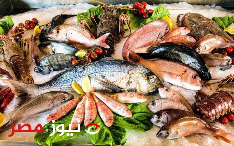 بعد المقاطعة.. تراجع أسعار الأسماك اليوم الثلاثاء في سوق العبور