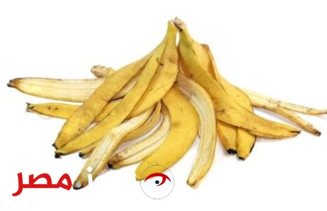 فوائد ولا في الاحلام.. فوائد مذهلة لقشور الموز عند استخدامها بهذا الشكل... هتندم ندم عمرك لو معرفتهاش..!!