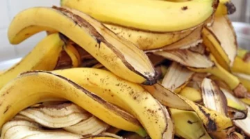 اتحداكي لو رميتي قشر الموز تاني!!… وصفة سحرية تقدر بمليون جنية من قشور الموز الموجودة في بيتك!!