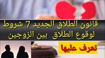 الطلاق بقى مش بالساهل.. سبع شروط هامة لوقوع الطلاق بين الزوجين قانون الأحوال الشخصية يحددها