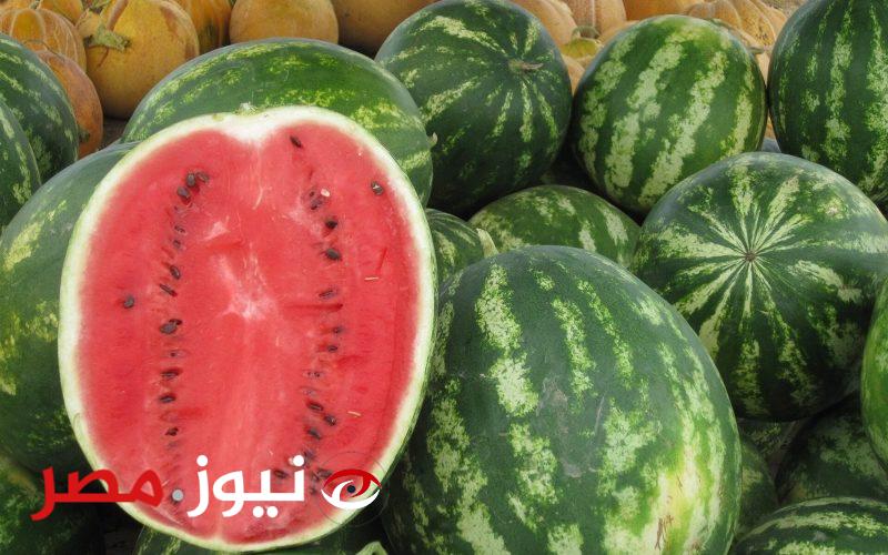 هل مسرطن؟.. الزراعة تكشف أسباب “بياض” البطيخ من الداخل