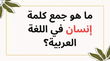 «98٪ مش عارفين».. السؤال الذي حير الجميع ما هو جمع كلمة إنسان.. للأذكياء فقط!!