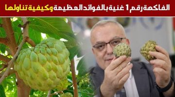 فاكهة رخيصة الثمن في السعودية ولكنها كنز يقدر بثروات هائلة .. تحارب مرض السرطان وتقوي القلب وتنشط خلاليا الدم
