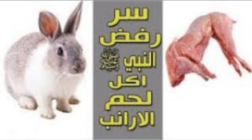 «ضاع عمرنا ومعرفناش السبب».. لماذا النبي لم يأكل لحم الأرنب ولحم الضب..الإجابة سوف تدهش الجميع !!