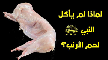 “السبب غير متوقع”..لماذا رفض سيدنا محمد أن يأكل لحم الأرنب رغم أنه ليس محرما!! .. إليكم التفاصيل!!