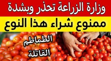 اوعى تشتريها ولو ببلاش !!.. وزارة الصحة تحذر المواطنين من شراء هذا النوع من الطماطم المنتشر بالأسواق .. به سم قاتل