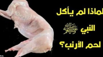 «حقيقة لا يعرفها الكثيرون».. لماذا نبينا محمد عليه الصلاة والسلام لا يأكل لحم الأرنب ؟؟ وأيضا لا يأكل لحم الضب ؟؟