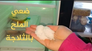 فكرة بمليار جنيه..ضع الملح في الثلاجة وشوف المعجزة مش هتصدق اختراع هيوفرلك فلوس كتير 