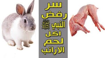 لماذا رفض النبي محمد صلى الله عليه وسلم أكل لحم الأرنب؟!… بالرغم أنه حلال معلومات لن تصدقها!